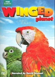 Winged Planet Winged Planet Boxcover