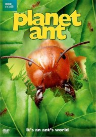 Planet Ant Planet Ant Boxcover