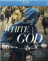 White God White God Boxcover