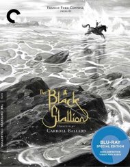 Black Stallion, The: The Criterion Collection Black Stallion, The: The Criterion Collection Boxcover