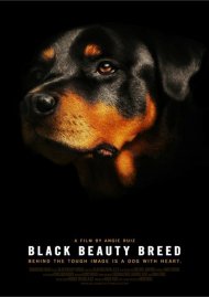 Black Beauty Breed Black Beauty Breed Boxcover