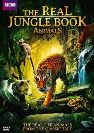 Real Jungle Book Animals, The Real Jungle Book Animals, The Boxcover