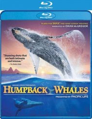 Imax: Humpback Whales (Blu-Ray) Imax: Humpback Whales (Blu-Ray) Boxcover