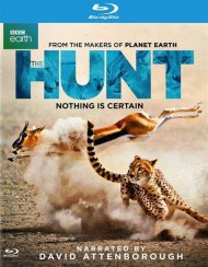 Hunt, The Hunt, The Boxcover