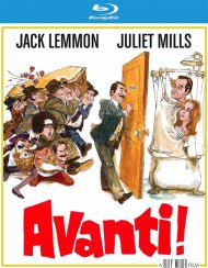 Avanti! Avanti! Boxcover