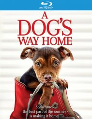 Dogs Way Home, A (BR/DVD/W-DIGITAL) Dogs Way Home, A (BR/DVD/W-DIGITAL) Boxcover