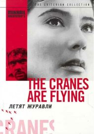 Cranes Are Flying, The: The Criterion Collection Cranes Are Flying, The: The Criterion Collection Boxcover