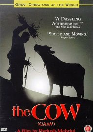 Cow, The Cow, The Boxcover