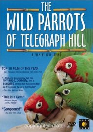 Wild Parrots Of Telegraph Hill, The Wild Parrots Of Telegraph Hill, The Boxcover