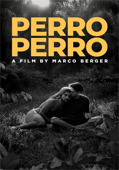 Perro Perro Perro Perro